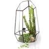 Clear Glass Geometric Terrarium Tabletop Planter Irregular Plant Box Succulent Holder for Indoor Garden