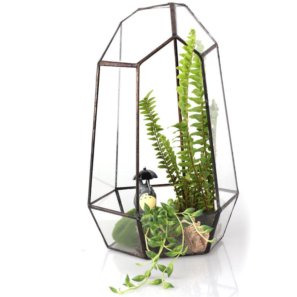 Clear Glass Geometric Terrarium Tabletop Planter Irregular Plant Box Succulent Holder for Indoor Garden