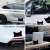 PAVIKE Car Sticker, Funny Sticker, Black Cat, Car Scratches Sticker, Hides Dents, Scratches, Easy