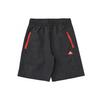 Adidas Grade School Shorts Moderate HR6275