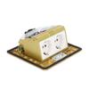 Pop Up Floor Outlet EU Standard 2 Position Desktop Receptacle Socket Brass Golden 16A AC250V