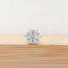 F136 Titanium Flower Peacock Crown Earrings, Long Studs for Cartilage Piercing, 1.2/1.0 Thickness