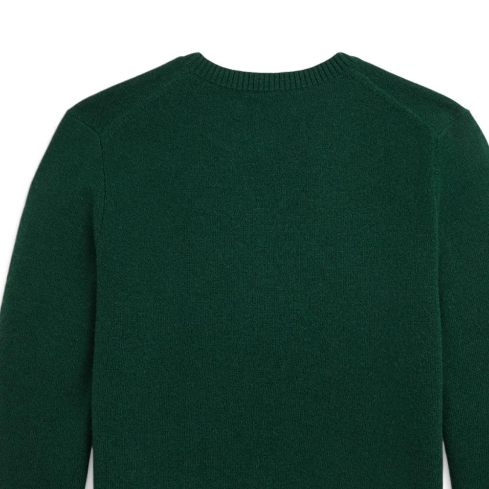 Polo Ralph Lauren Sweater FW24 Logo Embroidered Crew Neck Pullover Long Sleeve Kids sweater Academy-Green CWPOSWEY6820527-300