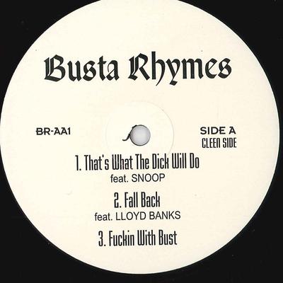 12inch Record BUSTA RHYMES - That's What The Dick Will Do / Fall BRAA1 NOT ON LABEL US Rap & Hip-Hop/R&B Used