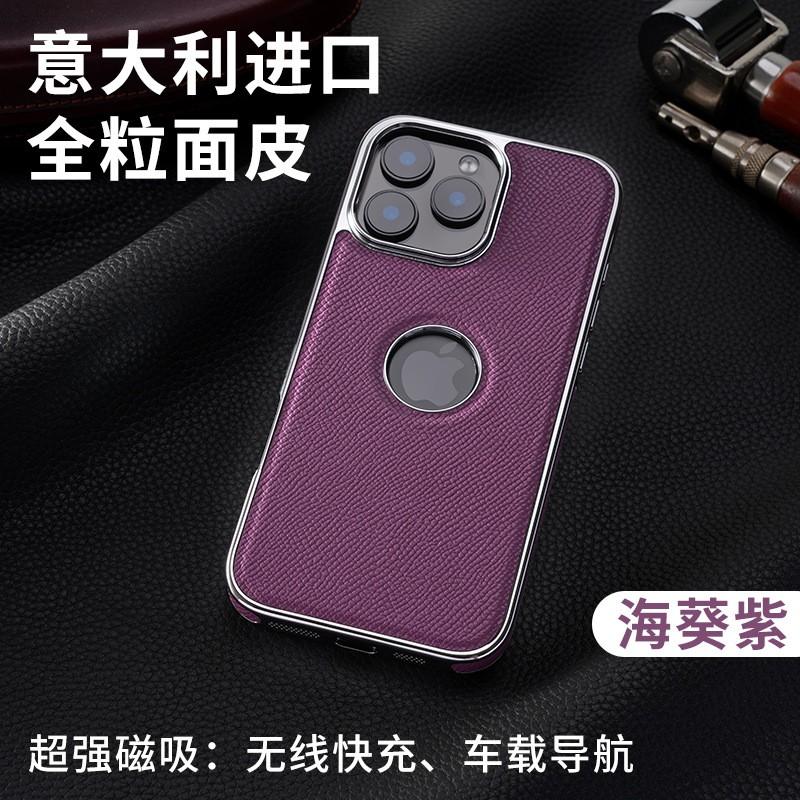 Leather Case IPhone 16 Pro Max 15 Magnetic Wireless Charging Shockproof