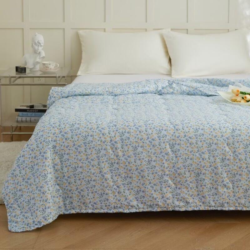 Hongdou Quick-Dry Breathable Washed Cotton Summer Quilt