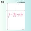 KOKUYO Fargelaser Fargekopi Filmetikett Transparent Matt LBP-2210