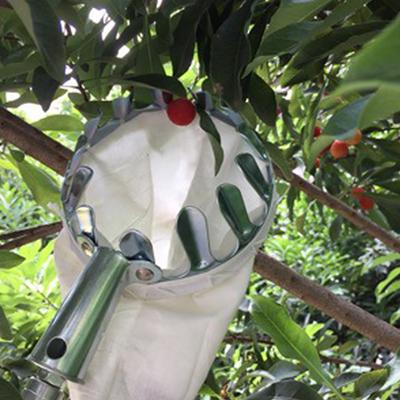 Metall-Obstpflücker, Gartenarbeit, Apfelpflücker, hoher Baumpflücker, Obstfänger, Gartenbedarf