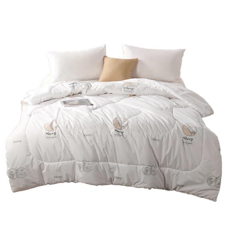 

JEYU All-Season Polyester Quilt