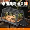 Desktop Praktisch Hohe Transparenz Haustierhaltung Box Eidechsenpalast Keeper Zuhause Klettertier Ökologisches Landschaftsbau Terrarium
