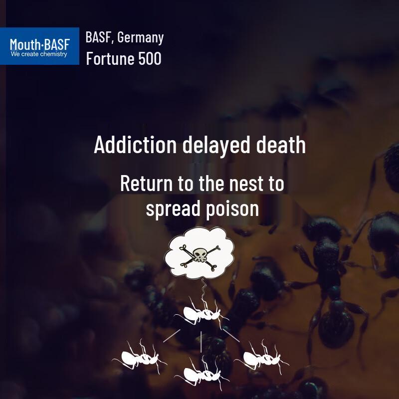 BASF Suke Li Roach & Ant Killer Gel