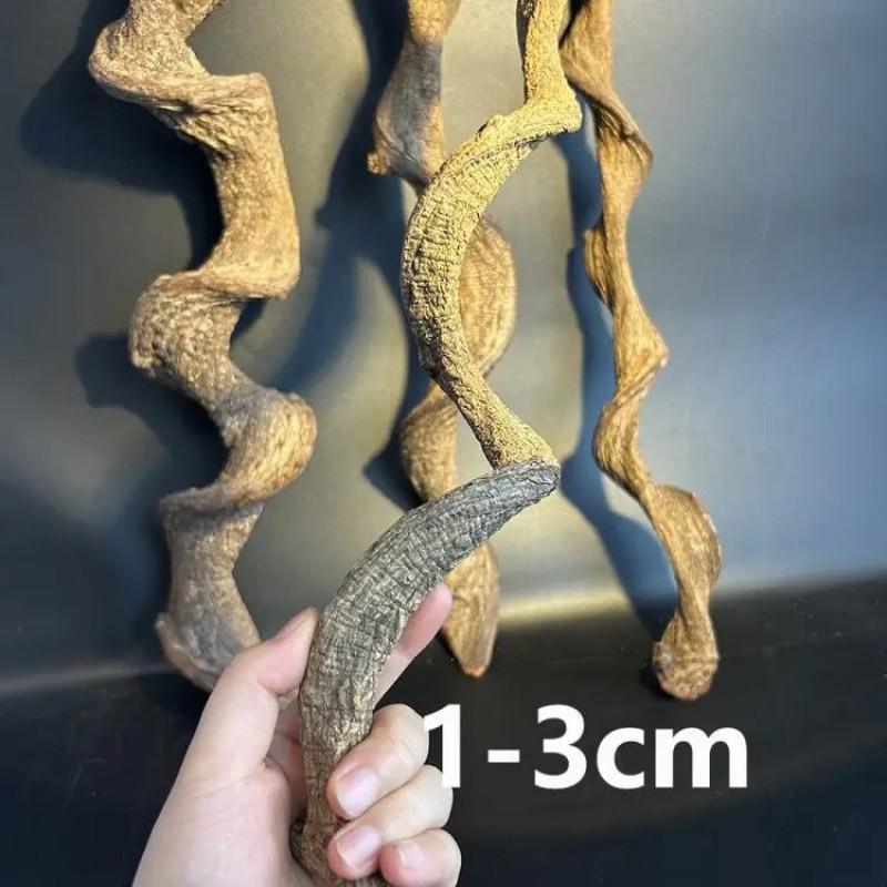 Natural Driftwood Branch Terrariums Reptile Climbing Decor Rainforest Vivarium Setup Tree Frog Gecko Habitat