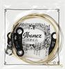 IBANEZ Acoustic Guitar Strings Light Bronze IACS6C
