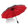 Automatic Double-Layer 10-Rib Windproof Umbrella