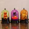 Christmas Halloween Pumpkin Witch Night Led Light Lamp Decoration Party Holiday