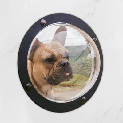 Psí ohradník Okno pro mazlíčka Bubble Cat House, Snížená nuda, Domácí mazlíček 12palcový vyhlídková kopule na dvůr