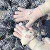 Mink Velvet Plush Gloves Musical Note Wings Five Finger Gloves Fashion Knitted Gloves