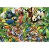1500 Piece Puzzle : the Diversity of the Animal World