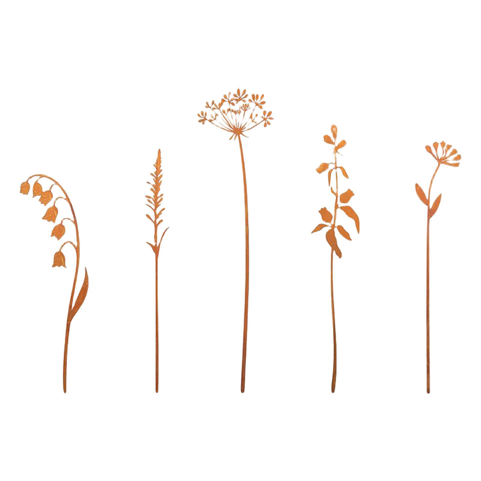 

Железный колышек для поддержки папоротника, декоративный садовый колышек с защитой от ржавчины для газонов, патио, ландшафта, 5 шт. 1