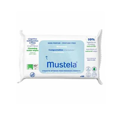 Biodegradable Wipes 60 Units