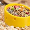 Durable Hamster Burrow Cheese Hideout, Funny Cave House, Small Pet Golden Food Bowl, Cage Accessory for Gerbils, Guinea Pigs Animal Nest