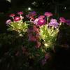 7 Heads LED Snow Lotus Lights Solar Powered Colorful Solar Lotus Flower Lights Decorative Waterproof Outdoor Solar Lights