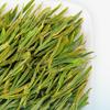 Organic Anji White Tea Chinese Spring Loose Leaf Green Tea 100g