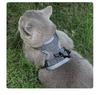 Maine Coon Anti-Escape Breathable Mesh Cat Harness & Leash - No Choke Design for Outdoor Adventures