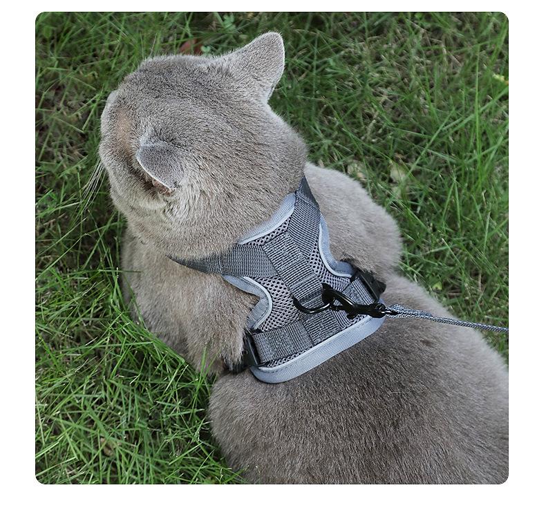 Maine Coon Anti-Escape Breathable Mesh Cat Harness & Leash - No Choke Design for Outdoor Adventures