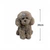 Poodle Plush Toys Simulated Dog Stuffed Doll Toys Hobbies Collection Room Decor Toys Kid'S Accompany Toys Birthday Gifts