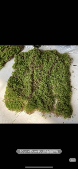 Artificial Moss Stone Decor: Green Hairy Stone Prop for Photography and Bonsai Landscaping