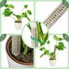 Plant Climbing Column Sphagnum Moss Pole Plants Growing Support Stand Water-Retaining Fertilizer-Rich Plant Extension Pole Stick