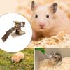 Multifunktionale Holz-Hamsterleiter Spielzeug Entwickelt für langanhaltenden Spaß Jede Hamster-Habitat-Unterhaltung