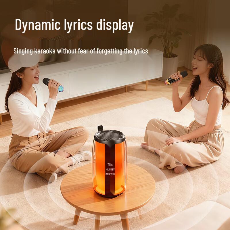 Newmine K19 All-in-One Bluetooth Karaoke Speaker CN plug (adapter included)