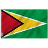 Anley Fly Breeze 3x5 Foot Guyana Flag The Golden Arrowhead -Double Stitched