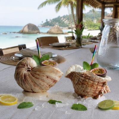 Partiler İçin Kokteyl Bardakları Yaratıcı Deniz Kabuğu Seramik Kupa, Doğal Dokulu Tropikal Bar Bardağı, Isıya Dayanıklı İçecek Bardağı Dekoratif Çiçek