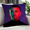singer Sam Smith Cushion Cover Cushion Cover Set Pcs x x x Pillowcase Decorative Sofa Home Decor