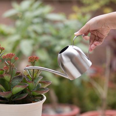 Stainless Steel Indoor Watering Can for Potted Plants & Succulents, 500ml Long Spout Sprayer