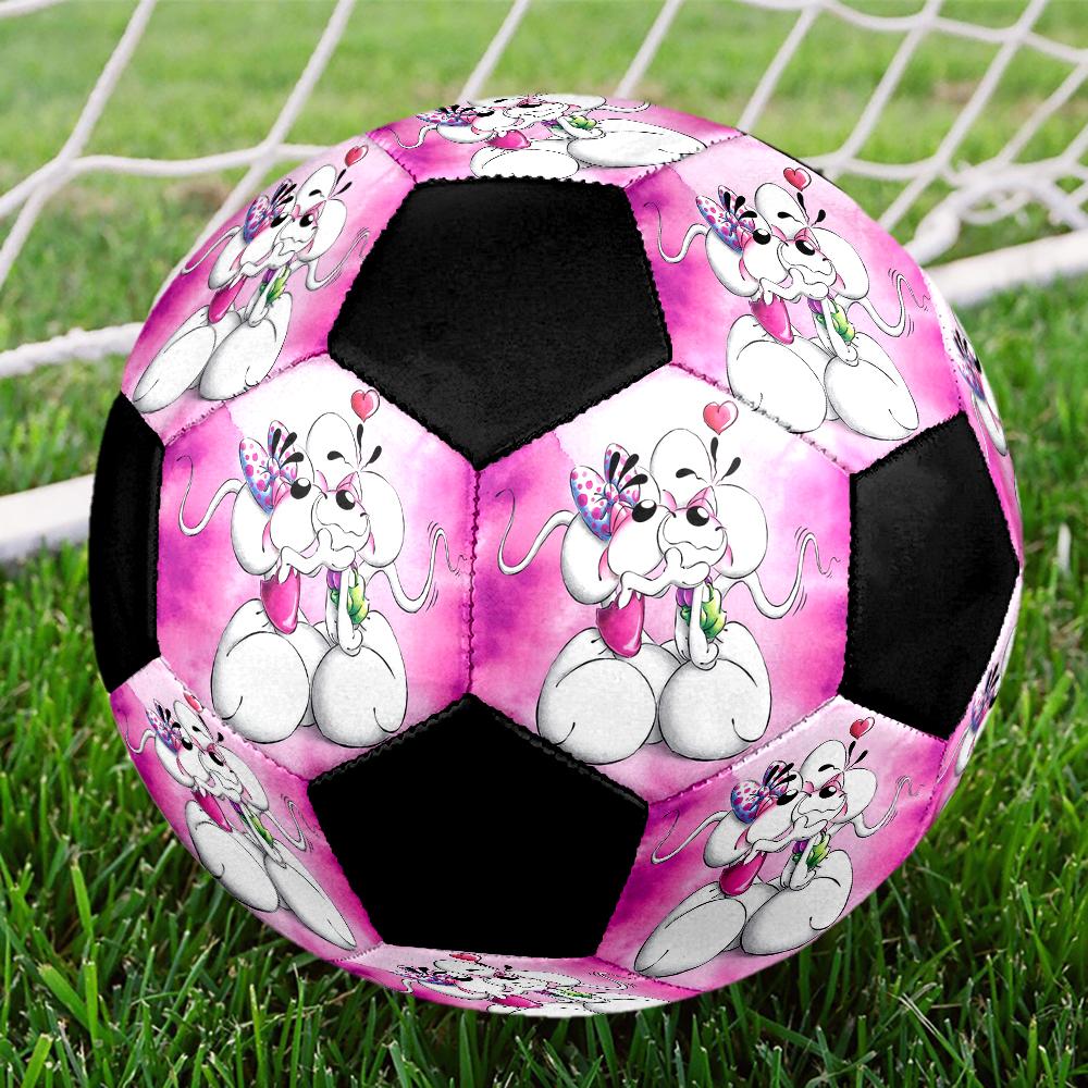 Diddl Cute Indoor Soccer Ball Colorful Machine Stitched PVC Size 5 Team Training Competition Ready Durable High-Bounce Cool Sports Gift