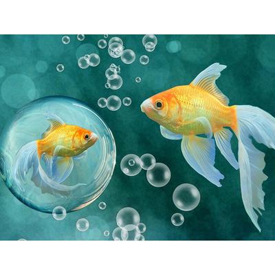 מקדחה עגול מלא רקמת יהלום יפה דג זהב DIY יהלום ציור תפר צלב ריינסטון