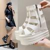 Fashion 12CM Thick Bottom Wedges Women's Sandals 2025 Sexy Summer Woman Shoes Fashion Rome Fish Mouth Increase Within Sandals Pumps