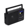 Portable CS-806 Multifunctional DAB FM Network Radio Receiver