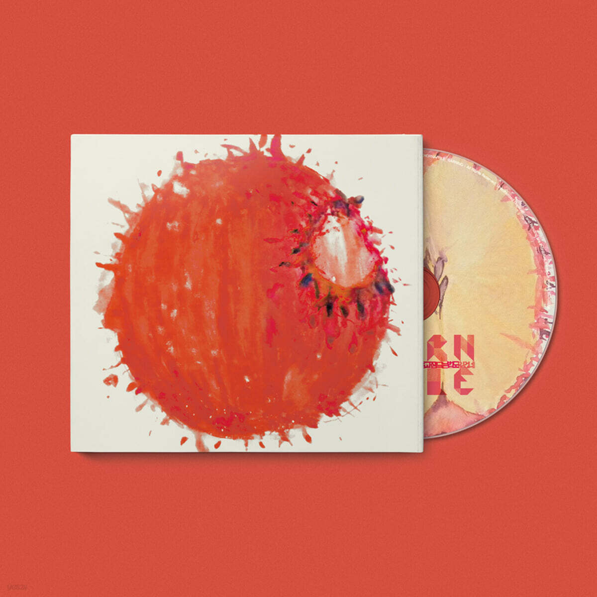 THORNAPPLE - 1st Album: I Keep Stammering and Forgot How to Sleep