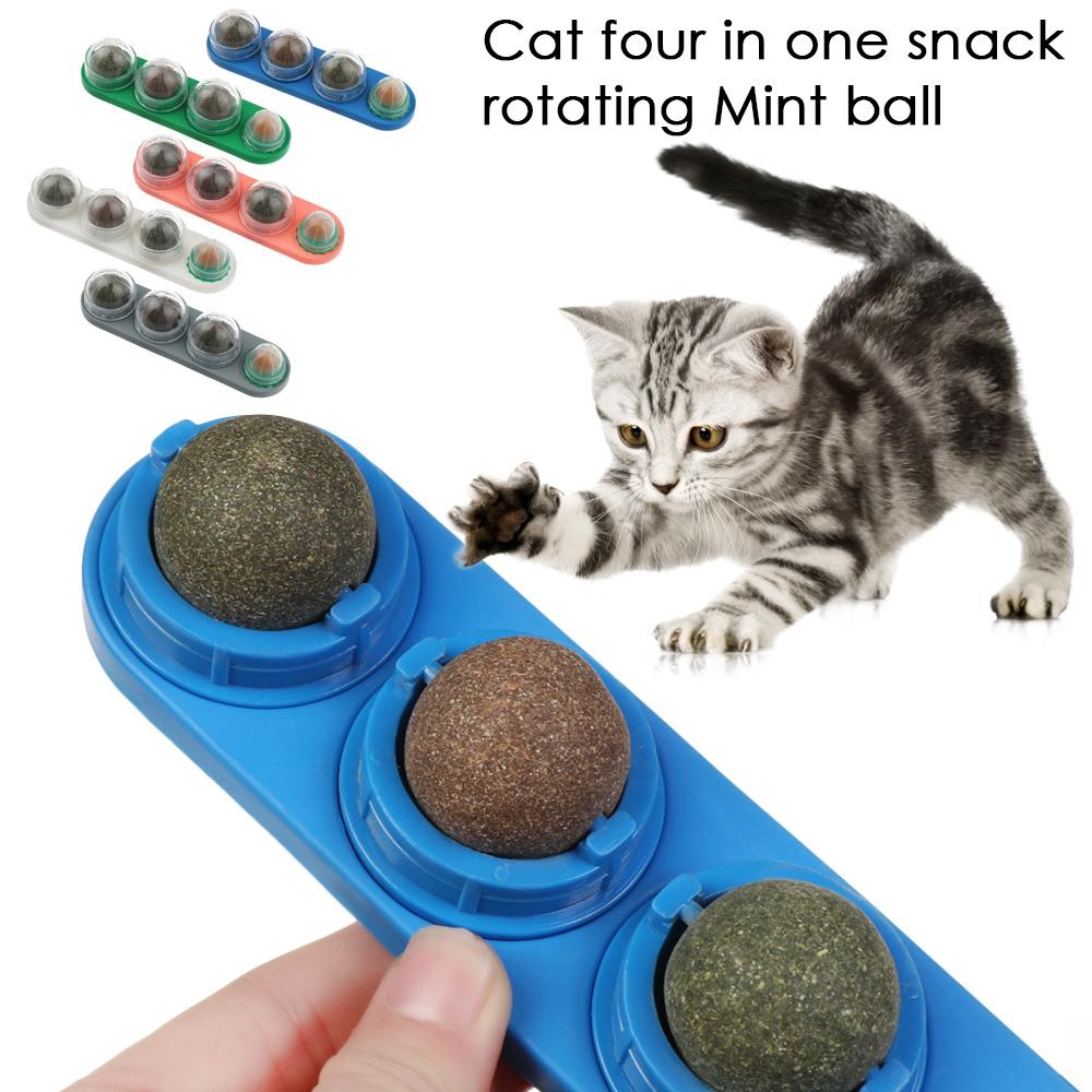 kitten snacks
