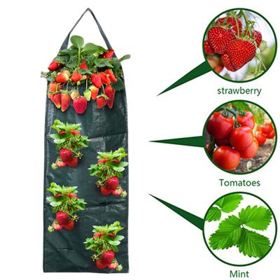 Hängender Pflanzsack Überkopf Tomatenpflanzer Erdbeerpflanzsack für Hausgarten