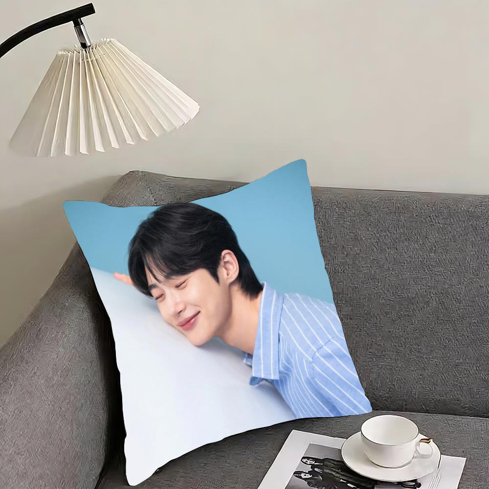 Byeon Woo-seok Cushion Cover Reversible Plush Pillow Cover – For car, sofa, bedroom, perfect as a gift.