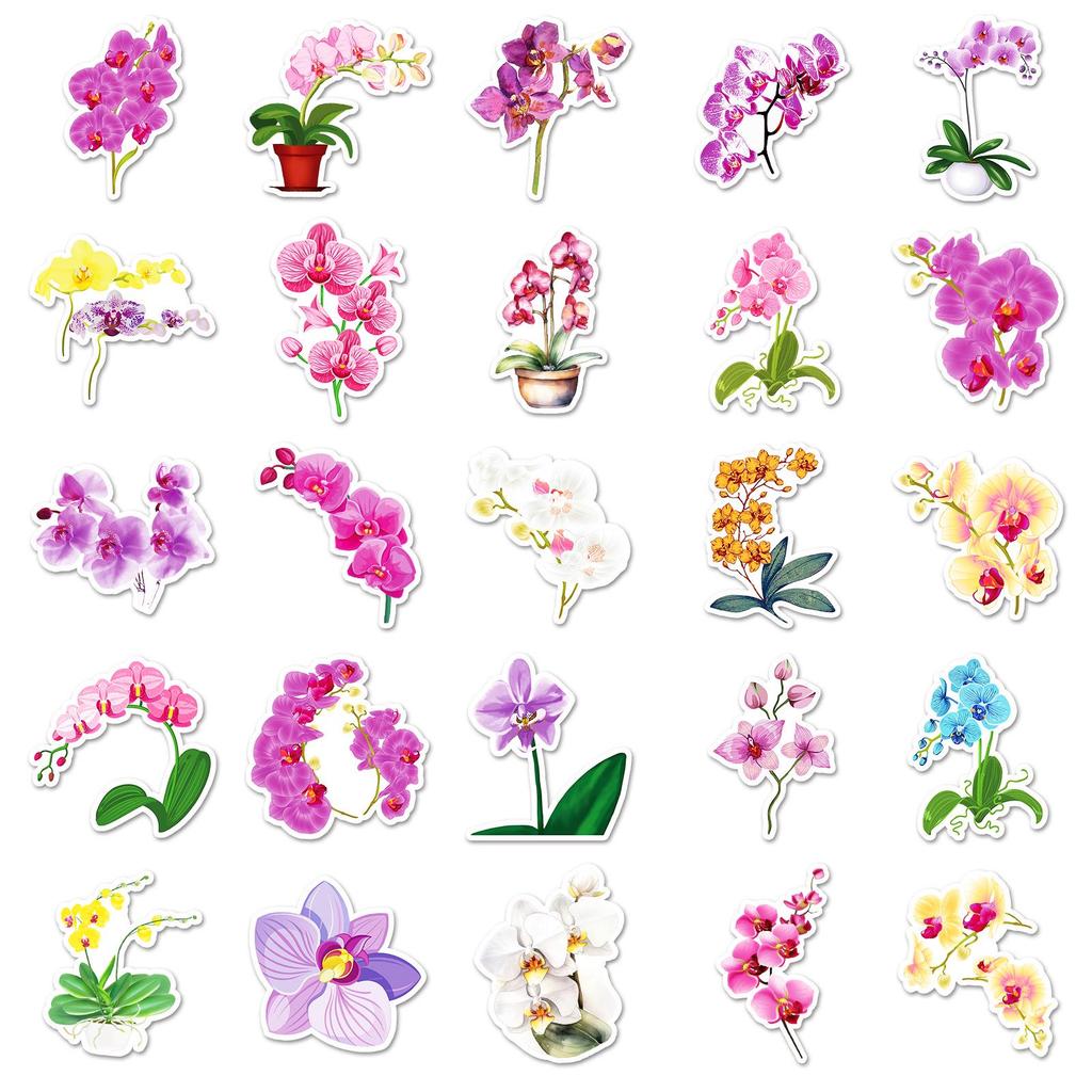 50 Orchid Cartoon Flower Stickers: Waterproof, Decorative for Water Bottles & Journals