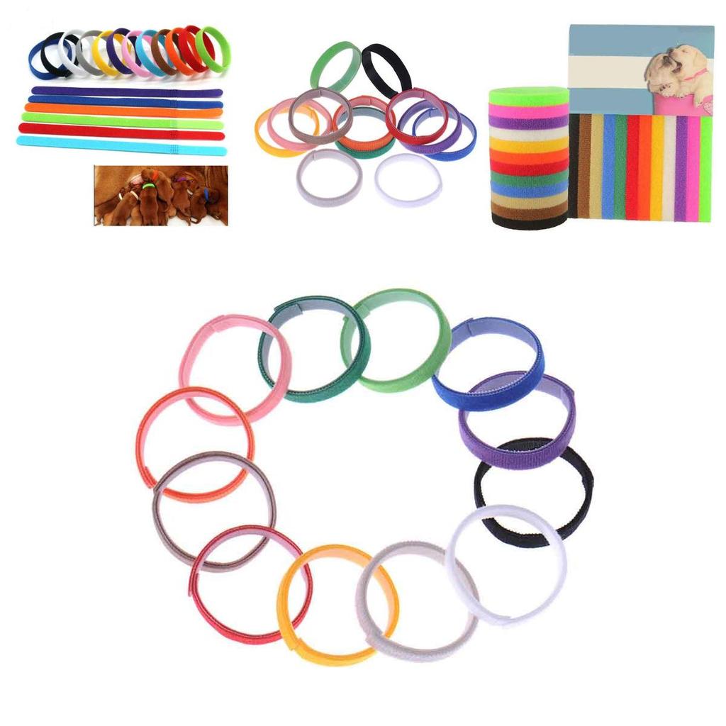 Id 12pcs Adjustable Collars Velcro Whelping Bands Puppy Kitten Newborn Tags Pet