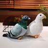 Bebek ve Peluş Oyuncaklar – Doldurulmuş ve Peluş oyuncak hayvanlar