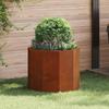 Planter Rustic 60 X 60 X 50 Cm Weathering Steel
